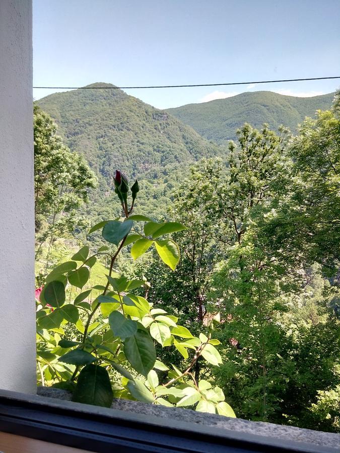 イントラーニャ Rustico "Casa Di Sasso"ヴィラ エクステリア 写真